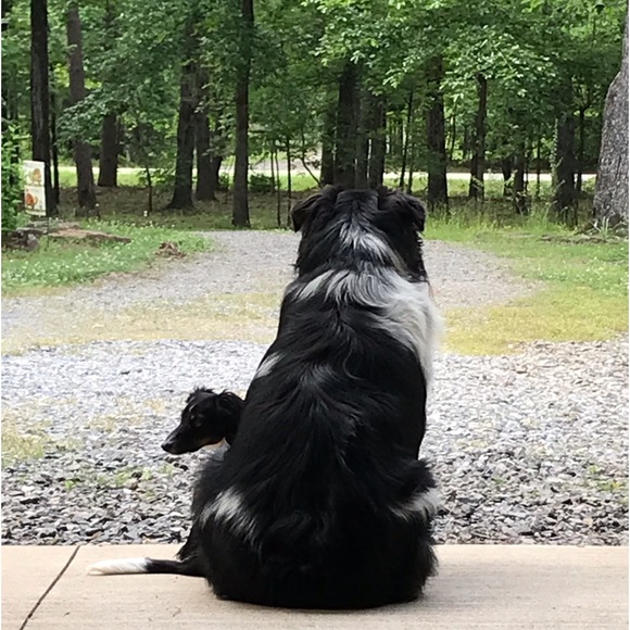 🦋Meet your Posher, Katy🦋 - Picture 4 of 12